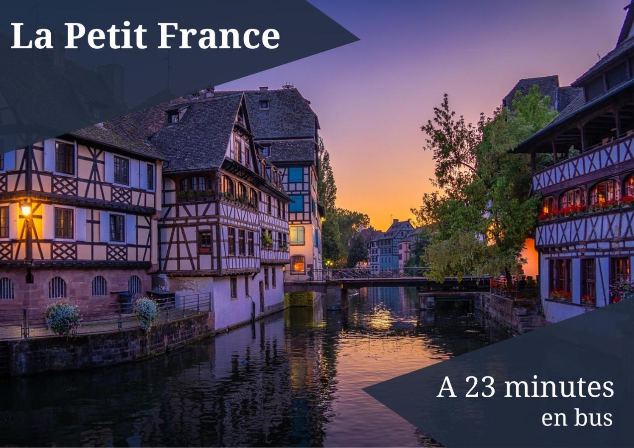 Le Reve Bleu - Golden Tree - Wifi - 15Min Centre Ville De Strasbourg Schiltigheim Dış mekan fotoğraf